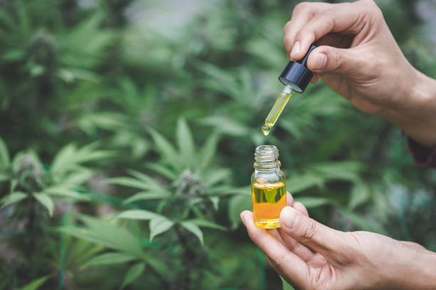 Organic Full Spectrum CBD Oil Canada Quality and Efficacy